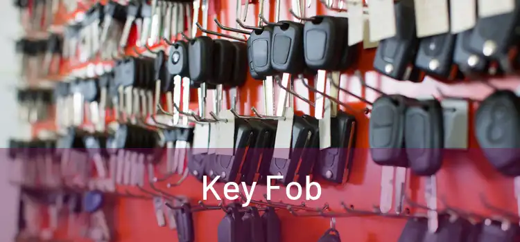 Key Fob 